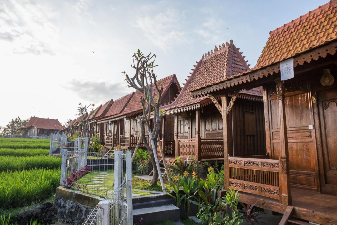 Victory Munggu Hotel Canggu Kültér fotó